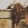 nazsuu