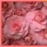 sinem_07