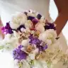 aysushn