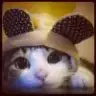 Jigglypufff