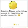 hayalhayal1987