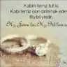 cinssss