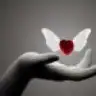 banu_cb