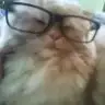 doktor_hanim