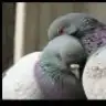 2525