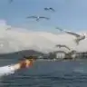 beyzadgn