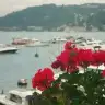 elmasnurr