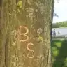 bukus