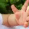 lionvirgo