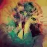 fleurdelys13