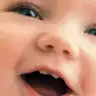 karanfil19