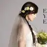 ogrtbilge