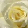 kalpbu