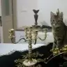 nazendehayat