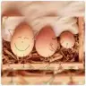 HappyMom-s