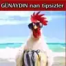 eksgavator