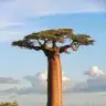 2BHB