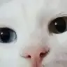 ksksnm