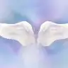 Angel wing