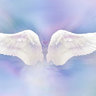 Angel wing