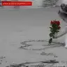 yasemincorapcioglu
