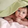 mimoza_34