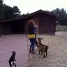 Ozimisimo