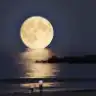 mmsl
