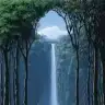 zshn
