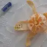 ilknurmr