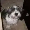 asminyez