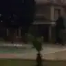 ciaridas