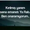 Basakkadini