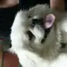 zlbyknkrmz