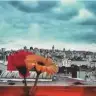 ervahafsa
