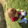carputi
