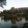 Maviay212