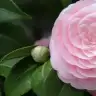 mltmct93