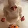 Aygulp