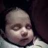 pamuk06
