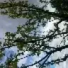 mina_ab