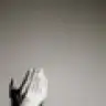 eseses_