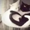 eceeem