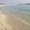 ceremii