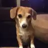 sQueen