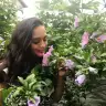 Minniemouse7