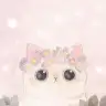 ysmozgn