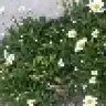 deniz1221