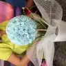 BirceSN