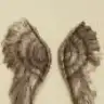 Dilemka
